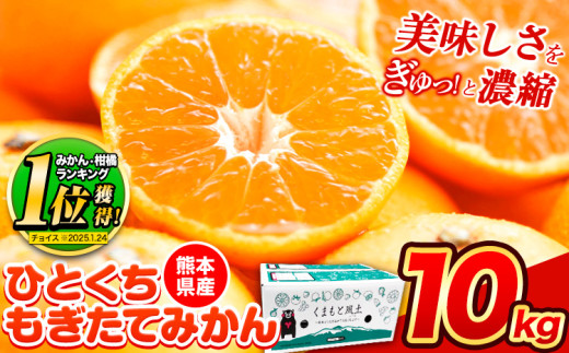 訳あり みかん ひとくちもぎたてみかん 約 10kg (10kg×1箱) S-3Sサイズ 訳あり ご家庭用 熊本県産 （荒尾市産含む） 期間限定 フルーツ 果物 旬 冬 柑橘 小玉 みかん《9月下旬-12月下旬頃出荷》