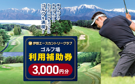 【010-45】伊那エースカントリークラブ　ゴルフ場利用補助券　3枚