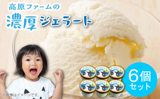ジェラート 濃厚ミルク 6個入り / ジェラート じぇらーと アイスクリーム あいすくりーむ スイーツ デザート / 南島原市 / 高原ファーム [SFP001]