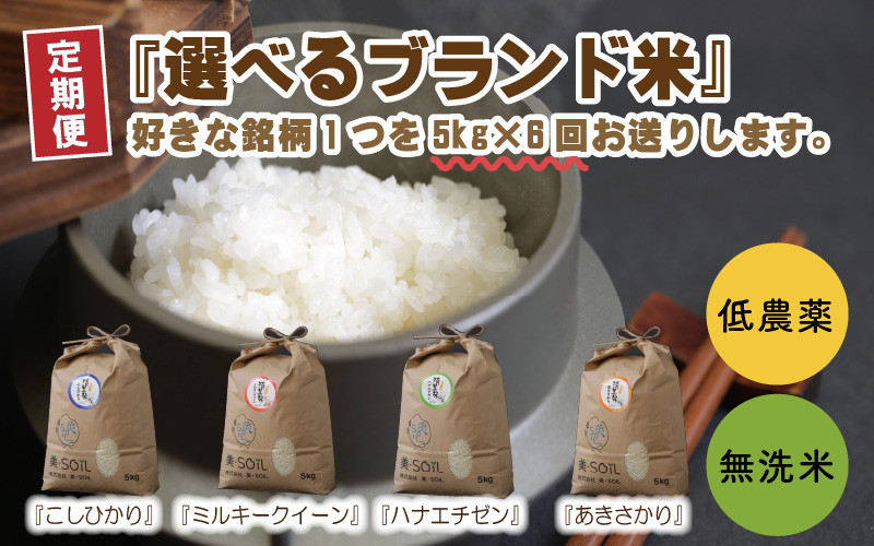 
【令和6年産・新米】【6ヶ月連続お届け】福井県産 低農薬極上米 無洗米 5kg × 6回 計30kg 『こしひかり』『ハナエチゼン』『ミルキークイーン』『あきさかり』[J-8806]
