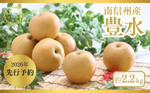 
                  JA31　梨 豊水 約2kg / 2026年9月上旬～9月下旬頃 配送予定 // 贈答 センサー選別 糖度センサー 梨 なし ナシ 果物 フルーツ ギフト 豊水 太鼓判 優糖生
                