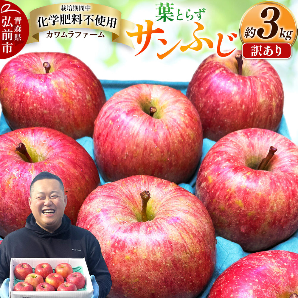 りんご 葉とらず サンふじ 約3kg カワムラファーム 訳あり 青森 果物 フルーツ 林檎 リンゴ くだもの 不揃い 規格外