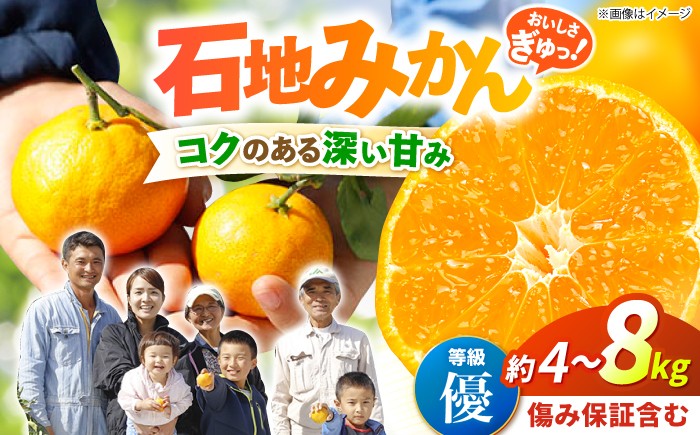 石地みかん 優品 / みかん 4kg / 8kg（傷み保証分含む） 先行予約【12月上旬より順次発送】＜川添みかん園＞ [CCT005] 長崎 みかん ミカン 西海 みかん 西海市 mikan みかん 贈答 石地みかん 大人気 高評価 優品みかん 産地直送 完熟みかん mikan