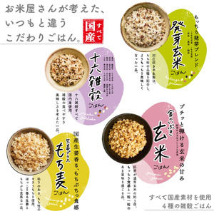 雑穀ごはんアソートセット 4種 各18個 160g×72個 十六雑穀 発芽玄米 金のいぶき玄米 もち麦  雑穀米 アソート 食べ比べ 食べきり もち麦 玄米 ご飯パック ご飯 パックご飯 パックライス
