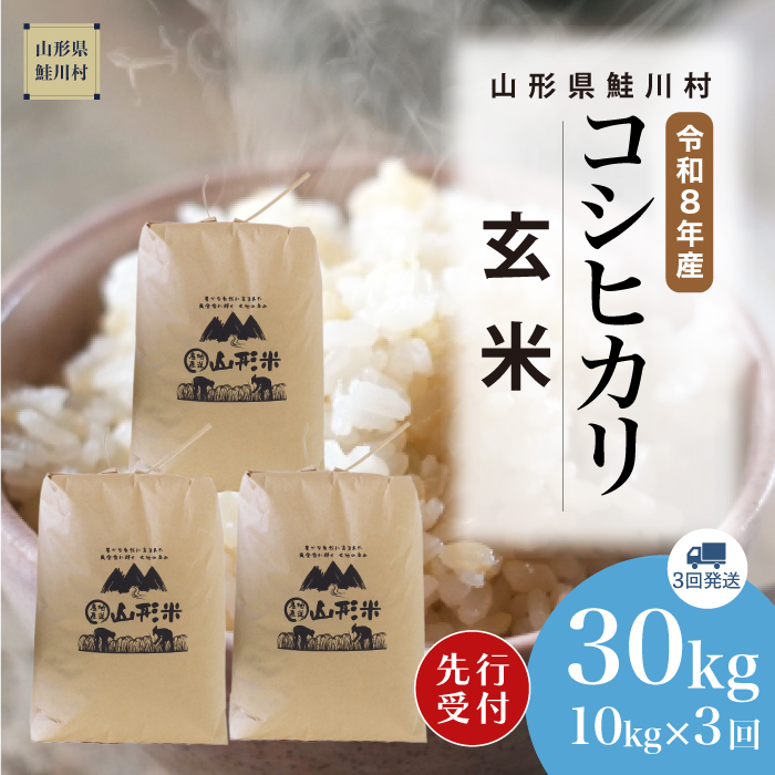 ＜令和8年産米先行受付＞ 山形県産 こしひかり 【玄米】30kg 定期便 (10kg×3回) 　配送時期指定できます！