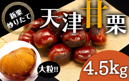 無添加 大粒天津甘栗 4.5kg 甘栗