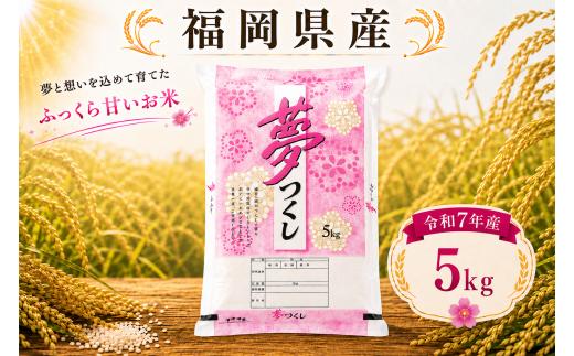 【令和7年産】福岡県産 夢つくし 5kg 単品 ゆめつくし ユメツクシ 福岡産 福岡 ふるさと納税 米 お米 たなか農産 白米 米 お米 こめ コメ ライス ご飯 ごはん 美味しい 贈り物 国産 福岡県 柳川市 お取り寄せ 産地直送 yumetukushi