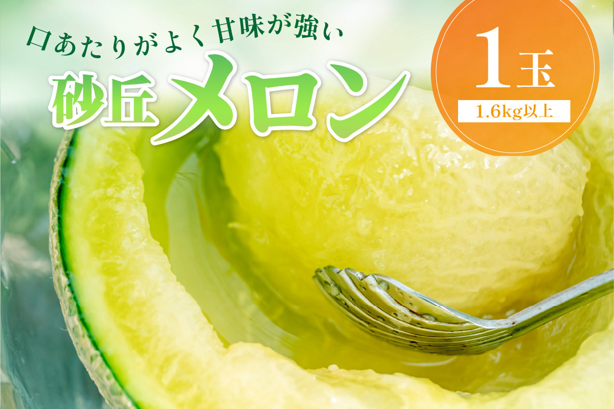 
【先行予約／数量限定500】京丹後産 砂丘メロン 大玉2L以上 1玉（2025年7月下旬～発送）　国産 高級メロン めろん 贈答 贈答品 贈り物 ふるさと納税 メロン 青肉 ふるさと納税 先行予約 期間限定 ふるさと 納税 フルーツ くだもの 果物 箱　HF00003
