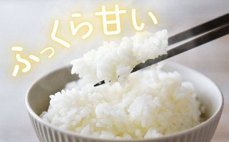 令和7年産コシヒカリ精米10kg｜ コシヒカリ ご飯 白米 千曲市 長野県 信州