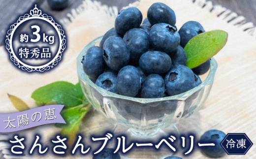 【早期予約開始!!2026年5月末より順次発送】【特秀品】 ブルーベリー 500g × 6パック 合計 3kg 冷凍 健康 食品 果物 フルーツ ベリー そのまま おやつ 加工 お菓子 製菓 シャーベット ジャム ソース スムージー いちかわファーム 高知県 須崎市 IF035