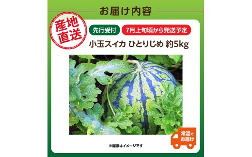 《先行受付》小玉スイカ ひとりじめ 約5kg【2026年7月上旬頃～順次発送予定】【山形県産 西瓜】