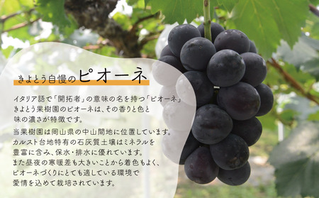 【きよとうファーム】シャインマスカット＆ニューピオーネ 3-5房/計2.0kg~ (岡山県産)【KF-B070-02】
