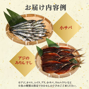 訳あり 干物 おまかせ セット 500g 冷凍 詰め合わせ ひもの 訳アリ 規格外 不揃い ヒモノ 開き 醤油干し みりん干し 朝食 和食 おつまみ アジ カマス シイラ ブリ 小サバ ウルメイワシ 