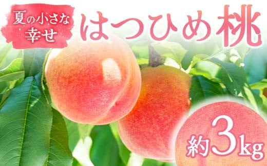 
            【2025年出荷分 先行予約】夏の小さな幸せ 桃「はつひめ」約3kg（9～12玉） 桃 もも モモ 果物 くだもの フルーツ 国産 食品 F21C-068
          