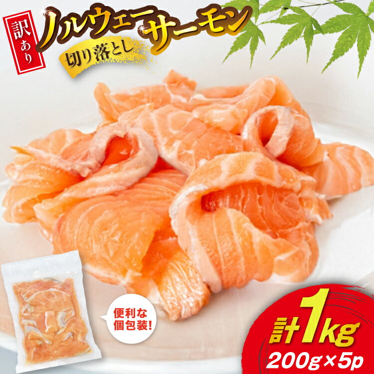 【ふるさと納税】 訳あり 無添加 ノルウェー産 アトランティックサーモン 切り落とし おさしみ用 1kg 200g ×5p [足利本店 宮城県 気仙沼市 20565179] サーモン さけ サケ 魚介類 鮭 尾っぽ はしっこ お刺し身 刺し身 刺身 個包装 海鮮 魚介 魚 小分け 冷凍 真空包装
