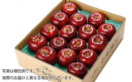 先行受付 秋映 約5kg 10～18玉 ［小布施屋］令和8年産【2026年10月発送】[A-206]