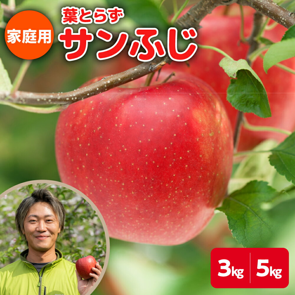【ふるさと納税】【 家庭用 】 葉とらずりんご サンふじ ( 内容量が選べる 3kg / 5kg ) ( 配送時期が選べる 11月 12月 ) / 青森産 りんご 傷 サンふじりんご リンゴ ジュース お菓子作り くだもの フルーツ 果物 林檎 送料無料 青森県 五所川原市