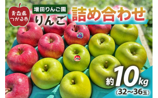 りんご 詰め合わせ 約10kg(32～36玉) 青森産 つがる市【2024年11月下旬より順次発送】｜青森県産 津軽 つがる リンゴ 果物 サンふじ 王林 [0610]