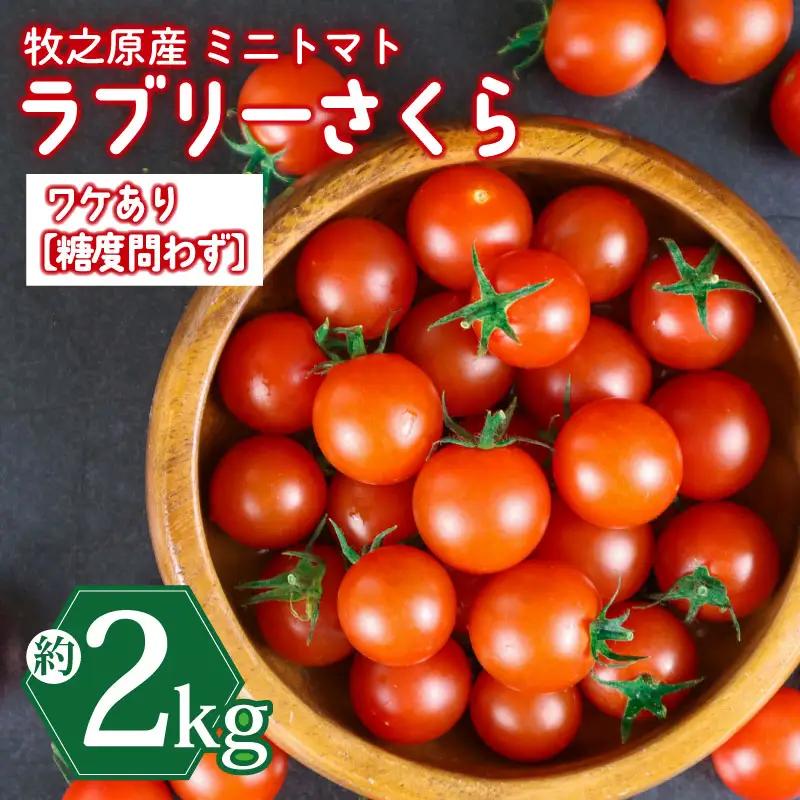 ミニトマト 2kg 訳あり 【ミニトマト】 山本農園