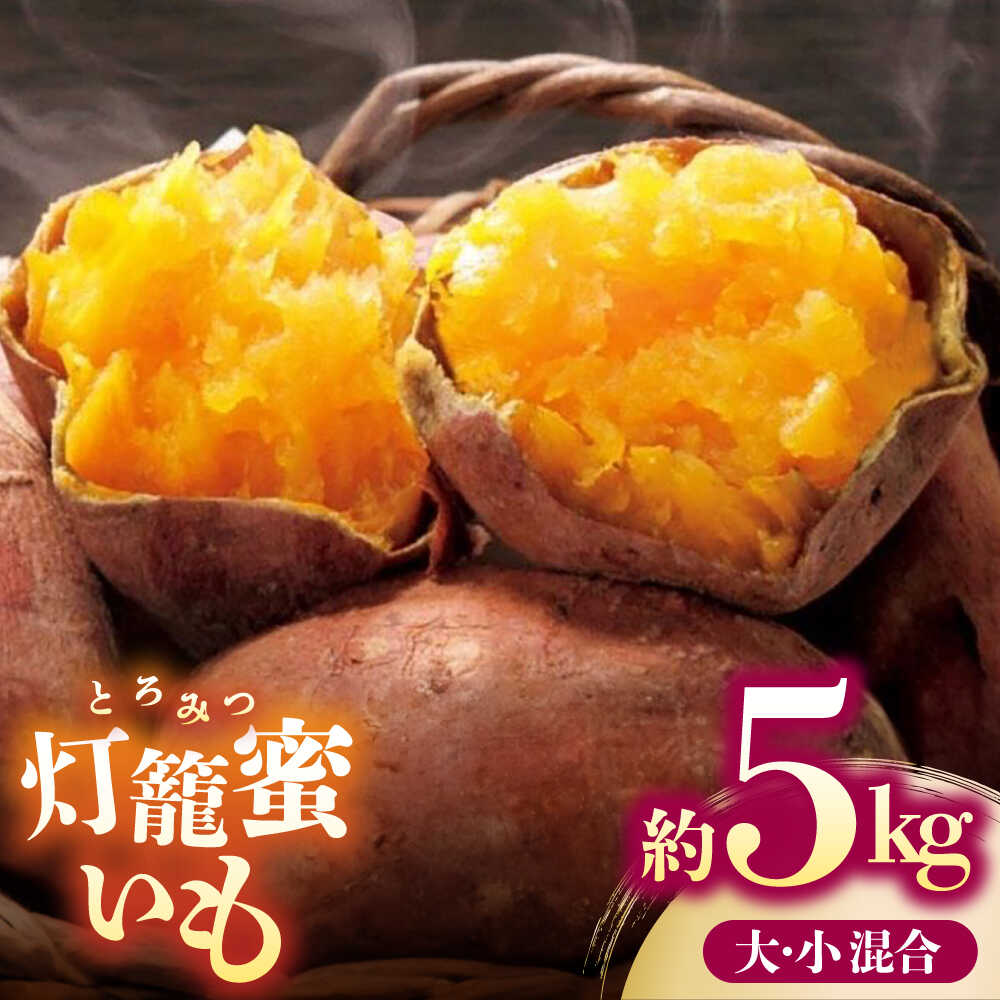 【ふるさと納税】ブランド さつまいも「灯籠蜜いも とろみついも」約5kg【株式会社 アグリファーム未来】[ZDN001]