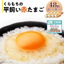 【ふるさと納税】くらもちの農場から平飼いたまご 赤玉子 新鮮 赤玉 定期便 高級 平飼い 健康 飼育 国産 鶏 鳥 鶏卵 卵 タマゴ お菓子 朝食 生卵 卵かけごはん TKG 455 たまご 48個 8パック 定期便 3カ月 計144個 小分け 新鮮 赤 玉子 卵 タマゴ くらもちの農場 平飼い