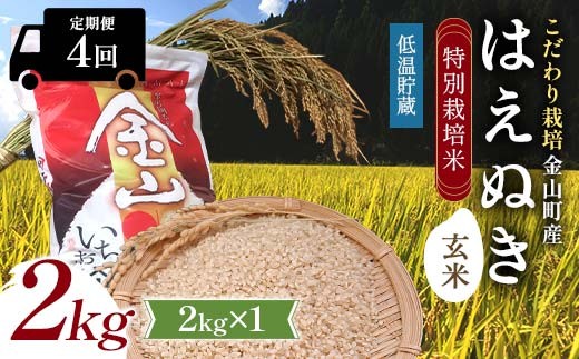 【令和7年産】定期4回 金山町産 特別栽培米 はえぬき 玄米 2kg×4回 合計8kg 米 お米 ご飯 ブランド米 定期便 低温貯蔵 F4B-0841
