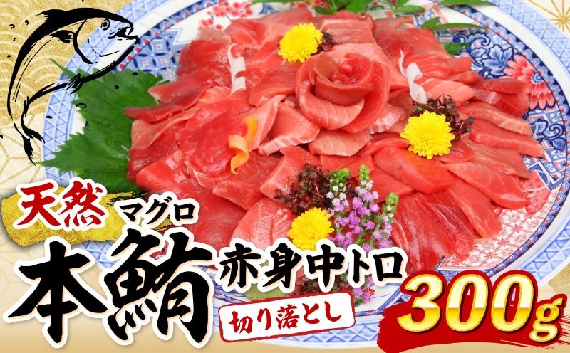 天然本マグロ 中トロ 赤身 切り落とし 300g 小分け(100g×3パック) 訳あり マグロ 刺身 カルパッチョ まぐろ丼 まぐろ漬け丼 魚 惣菜 海鮮丼 魚介類 食べきりサイズ 父の日 冷凍 不揃い クロマグロ 黒マグロ
