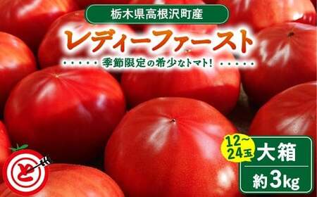 高根沢町産トマト「レディーファースト」 大箱（約3kg 12～24玉）｜とまと 季節限定 希少 厳選 産地直送 新鮮 ※北海道・沖縄・離島への配送不可 ※2026年1月上旬～3月下旬頃に順次発送予定