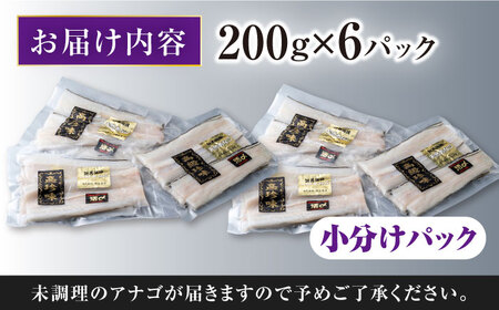 対馬産 西沖あなご 200g×6パック《対馬市》【保家商事】 あなご 穴子 アナゴ 海鮮 海産物 魚介[WAA037]