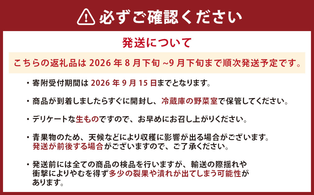完熟 くまもと梨 3kg 【2026年8月下旬発送予定】 果物 フルーツ なし