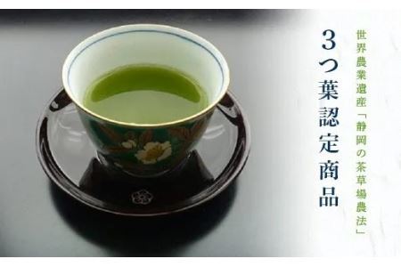 農林水産大臣賞受賞茶園 ･ 山東茶業組合･ 深蒸し掛川茶 100g×2袋 計200ｇ ギフト箱入（新茶･令和7年5月下旬より発送　②令和6年度産 今すぐ発送） 大塚製茶（※新茶受付あり） 1871