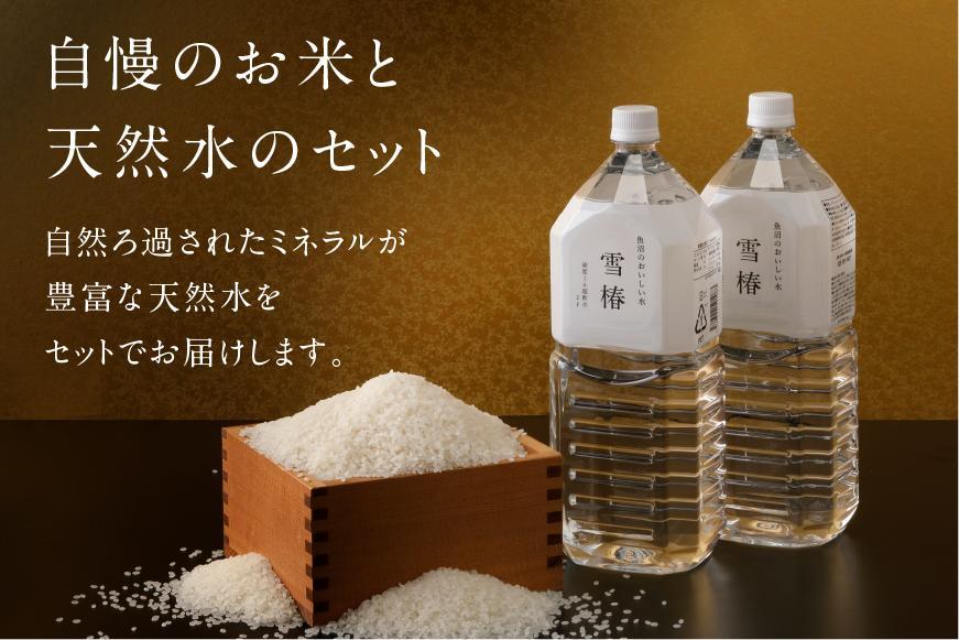【2025年産 】【至高セット】最高級魚沼産コシヒカリ「雪椿」魚沼のおいしいお水「雪椿」（5kg×2袋・2L×4本） 特別栽培米
