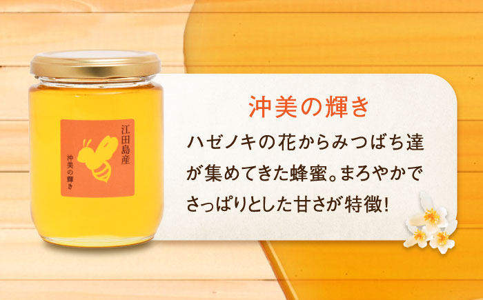 【父の日ギフト対象】まじりっけなし！江田島産100％!はちみつ2種食べ比べセット（300g×2本） ハチミツ ハニー 蜂蜜 国産 広島県 江田島市/はつはな果蜂園 [XCD008]