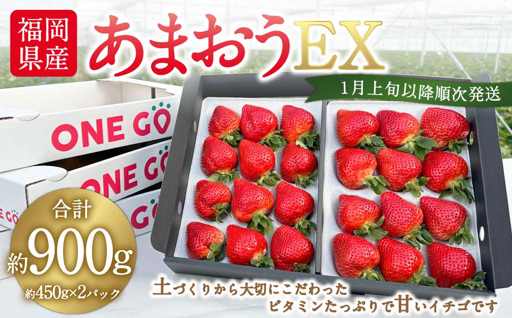 ギフト配送 福岡県産あまおう EX 約450g×2パック 合計約900g 〈特別栽培〉【2026年1月上旬〜3月下旬発送予定】