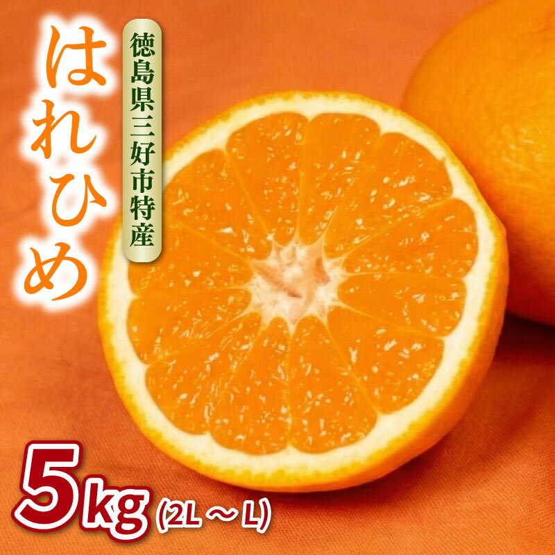 【ふるさと納税】 みかん 5kg はれひめ 数量限定 蜜柑 柑橘 ミカン 国産 産地直送 特産品 期間限定 徳島 三野 mikan フルーツ 果物 柑橘 ジュース スイーツ おやつ デザート おいしい 徳島県 三好市 みよし miyoshi 小笠原智
