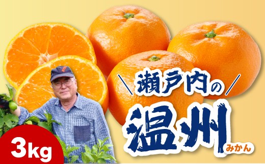【先行受付】普通温州青島（おくて）3kg 2027年1月発送予定 柑橘 ミカン みかん 果物 くだもの フルーツ 瀬戸内 251026
