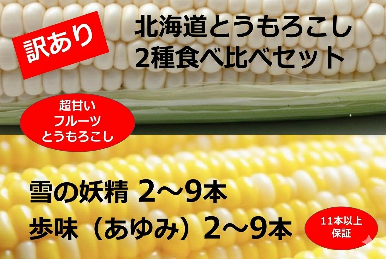 
                  訳あり 北海道 とうもろこし 2種類 合計11～12本 食べ比べセット 雪の妖精（ホワイトコーン）2～9本、あゆみ（歩味、バイカラー）2～9本 期間限定 数量限定 トウモロコシ 
                