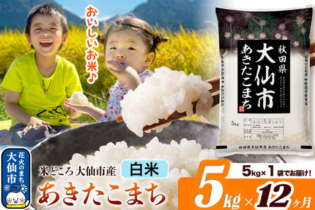 米《定期便12ヶ月》あきたこまち【白米】 米どころ秋田県大仙市産 令和7年産 精米 5kg（5kg×1袋）