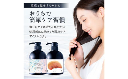 定期【2か月1回配送 計3回】 頭皮ケア VoluMe Spa　scalp shampoo・VoluMe Spa　scalp maskセット【092023-3】