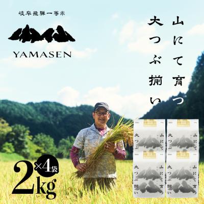 ふるさと納税 下呂市 (2026年10月中旬から順次発送)【2026年産】すがたらいす 山仙 2kg×4袋【51-20】