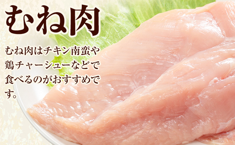 【3ヶ月定期便】九州産若鶏ムネ肉 カット済 600g×7袋×3回 計12.6kg 鶏肉 お肉 ムネ肉 むね肉 小分け 冷凍 九州産 国産 熊本県 菊池市 送料無料《お申込み翌月から出荷》