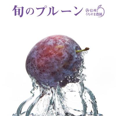 ふるさと納税 長野県 美容・健康に!【長野県産】★旬のプルーン ★1kg【7月中旬〜9月上旬 発送予定】