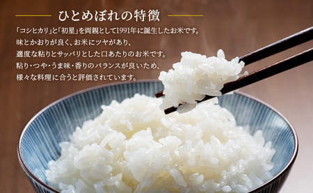 【令和7年産 会津田島の極上祇園米】ひとめぼれ 10kg