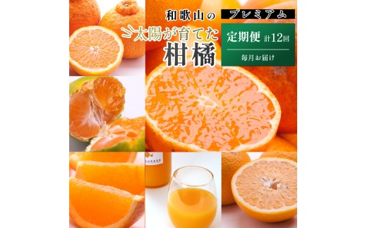 
            厳選 柑橘定期便S（毎月）全12回［IKE285］
          