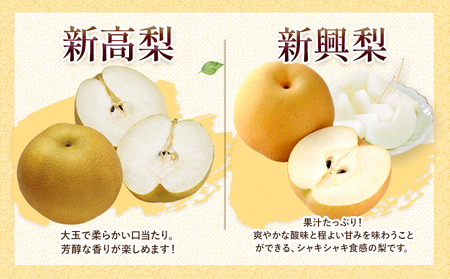 梨 吉野梨 旬の梨 約2kg(2～16玉前後) 《8月上旬-9月末頃出荷予定》 梨なし梨梨旬の梨