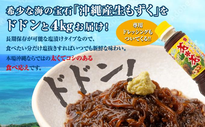 生もずく＆イカいかセット   I  生もずく イカ セット  海産物 海の幸 新鮮 食材 料理  沖縄県 南城市