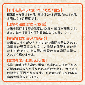 IG数量限定【令和5年産】山形県産 雪若丸 10kg (5㎏×2袋)