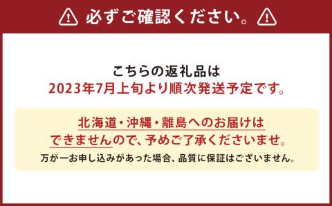 【2023年7月上旬より発送開始】とうもろこし ドルチェドリーム 8本