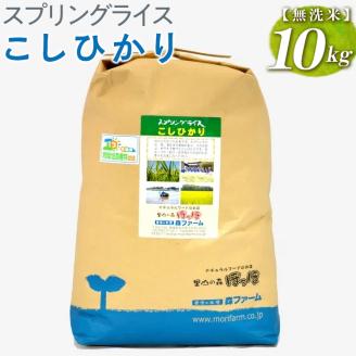 【新米】スプリングライス こしひかり (無洗米) 10kg ※着日指定不可 | 米 こめ コメ 10キロ 無洗米 白米 こしひかり コシヒカリ 古河市産 茨城県産 取り寄せ お取り寄せ ギフト 贈答 贈り物 プレゼント お中元 お歳暮 茨城県 古河市 直送 農家直送 産地直送 送料無料 _BI40