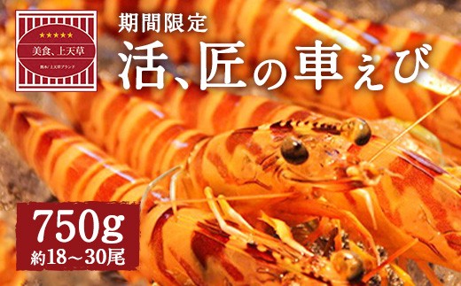 
                  【配送日必須】【 上天草市 ブランド認証品 】活、匠の 車えび 約750g （約18～30尾） 車海老 クルマエビ えび 海老 エビ 魚介 海鮮 常温 熊本県【発送期間2026年11月1日から2027年3月31日】
                